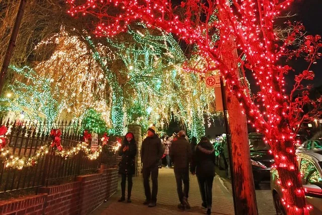 Brooklyn Christmas Houses Tour - Image 4