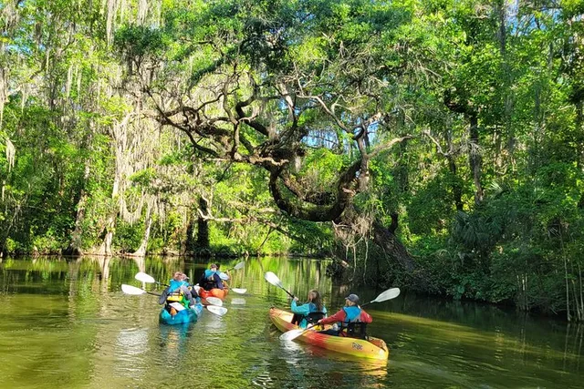 Tavares Wildlife Kayak Tour on Dora Canal - Image 3