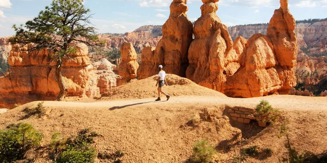 Bryce Canyon & Zion National Park Private Tour - Image 1