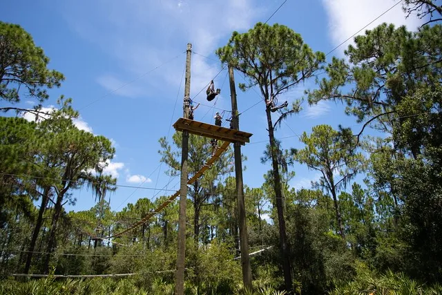 TreeUmph Adventure Course - Image 6