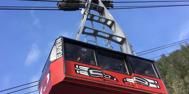 Juneau Mount Roberts Tram Ride - Image 5