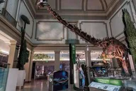 Washington DC History and Natural History Museum Tour 3 hr thumbnail 1