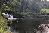 Maui Road to Hana and Waterfall Hike thumbnail 5