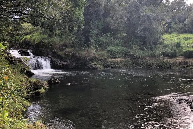 Maui Road to Hana and Waterfall Hike - Image 5