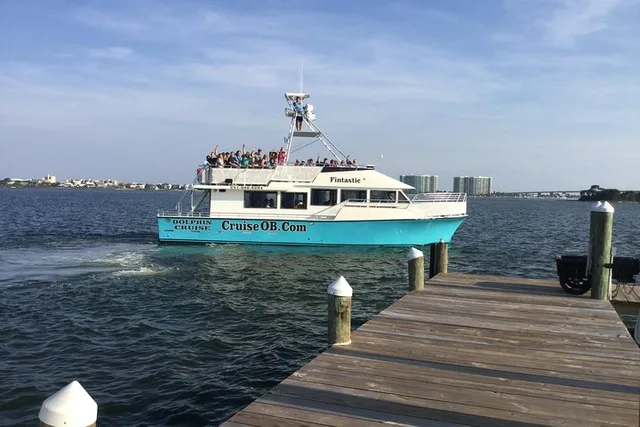 Alabama Gulf Coast Dolphin Cruise - Image 2