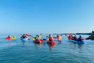 Sarasota Kayak Paddling Experience thumbnail 6
