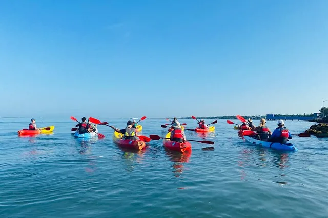 Sarasota Kayak Paddling Experience - Image 6