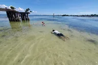 Englewood Sand Bar Adventure Boat Tour thumbnail 3