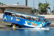 San Diego Seal Tour thumbnail 2