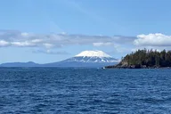 Sitka Marine Wildlife Tour thumbnail 5