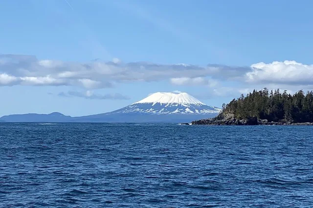 Sitka Marine Wildlife Tour - Image 5