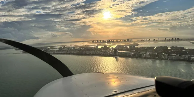 Miami Aerial Tour: Beaches, Mansions, and Skyline - Image 3