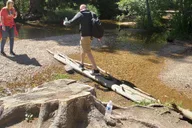 Denver Rocky Mountain National Park Tour with Picnic Lunch thumbnail 4