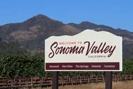 San Francisco Airport Transfer to Sonoma Valley thumbnail 2
