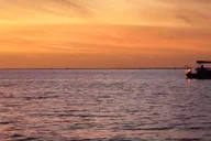 Tampa Bay Sunset Eco Adventure Cruise thumbnail 3