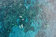 Maui Tandem Kayak Rental at Makena Landing 2 hr thumbnail 5