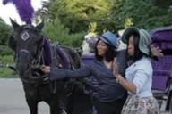 New York City Central Park Horse Carriage Ride 45 Min thumbnail 4