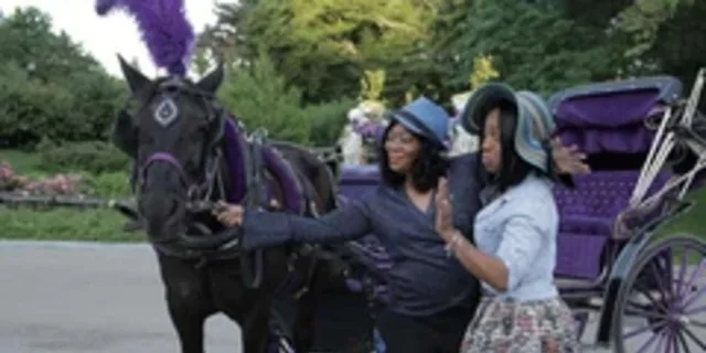 New York City Central Park Horse Carriage Ride 45 Min - Image 4