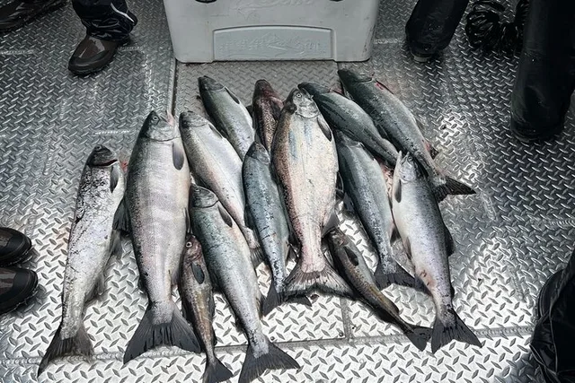 Ketchikan Wild Alaskan Salmon Fishing Trip - Image 4