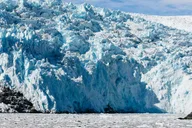 Seward Kenai Fjords Glacier & Wildlife Cruise 6 hr thumbnail 4