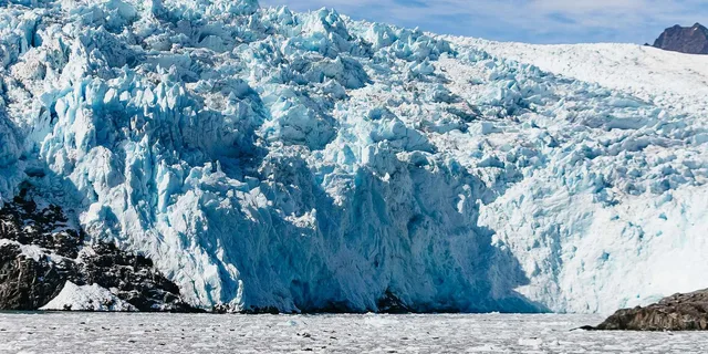 Seward Kenai Fjords Glacier & Wildlife Cruise 6 hr - Image 4