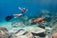 Lahaina Custom Kayak Tour thumbnail 3
