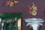 New Orleans Marigny Triangle Walking Tour 45 Min thumbnail 4