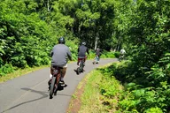 Anchorage eBike Tour on Tony Knowles Trail thumbnail 1