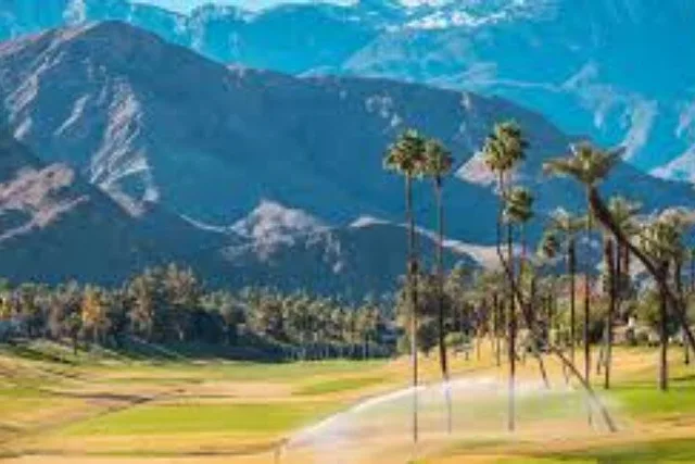 Los Angeles Palm Springs Private Tour - Image 6