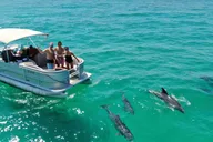 Cocoa Beach Dolphin and Manatee Eco Boat Tour thumbnail 1
