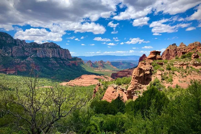 Phoenix Grand Canyon and Sedona Tour - Image 3