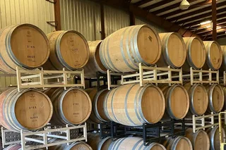 Duck Wine Tasting and Boat Ride