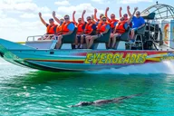 Miami Everglades Airboat Gator Spotting Tour thumbnail 1