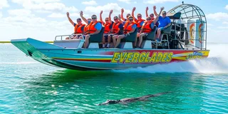 Miami Everglades Airboat Gator Spotting Tour