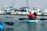 St. Augustine Dolphin Kayak Tour thumbnail 4
