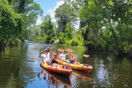Tavares Paddle Adventure with Ice Cream 2.5 hr thumbnail 3