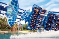 Orlando SeaWorld Park Admission thumbnail 2