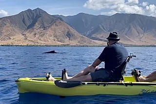 Maui Kayak Whale Watching Tour