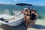 Shell Key Island Adventure with Dolphins and Shells thumbnail 2