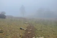 Asheville Guided Hiking Tour thumbnail 2