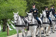 Arlington Cemetery Tour with Guard Ceremony thumbnail 4