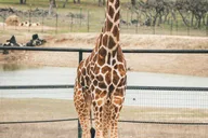 Fredericksburg Safari Tour thumbnail 5