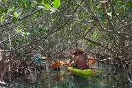 Key West Kayak Eco Tour thumbnail 6