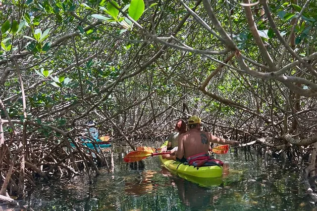 Key West Kayak Eco Tour - Image 6