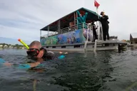 Orlando Manatee Snorkeling Tour with Lunch thumbnail 2