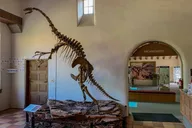 Phoenix Wupatki and Sunset Crater Tour thumbnail 6