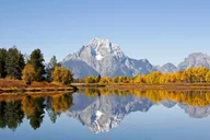 Jackson Hole Wildlife Safari thumbnail 2