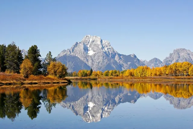 Jackson Hole Wildlife Safari - Image 2
