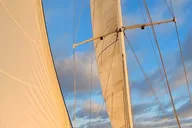 Oceanside Sailing with Whales and Dolphins thumbnail 3