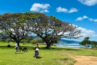 North Shore E-Bike Tour thumbnail 2